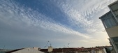 Enlarge photo 151