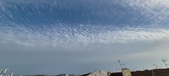 Enlarge photo 152