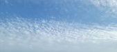 Enlarge photo 159