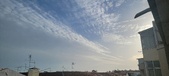 Enlarge photo 160