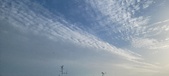 Enlarge photo 161