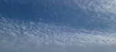 Enlarge photo 162
