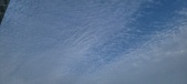Enlarge photo 163