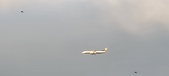 Enlarge photo 86