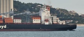 Enlarge photo 94
