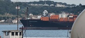 Enlarge photo 104