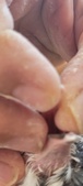 Enlarge photo 137