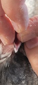 Enlarge photo 139