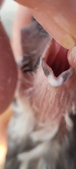 Enlarge photo 146