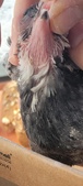 Enlarge photo 147