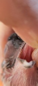 Enlarge photo 148