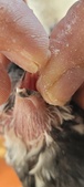Enlarge photo 149