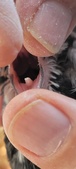 Enlarge photo 151