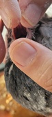 Enlarge photo 152