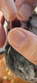 Enlarge photo 153