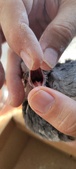Enlarge photo 156