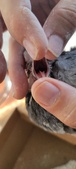 Enlarge photo 157