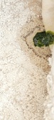 Enlarge photo 166