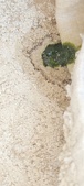 Enlarge photo 167