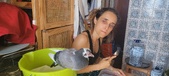 Enlarge photo 188