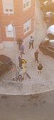 Enlarge photo 53