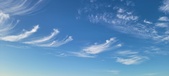 Enlarge photo 63