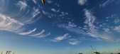 Enlarge photo 66