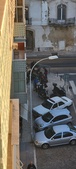 Enlarge photo 71