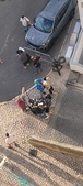 Enlarge photo 79