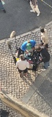 Enlarge photo 86