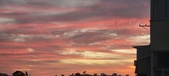 Enlarge photo 43
