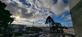 Enlarge photo 81