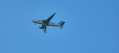 Enlarge photo 132
