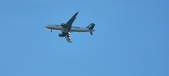 Enlarge photo 133