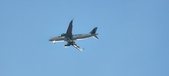 Enlarge photo 134
