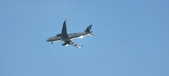 Enlarge photo 135