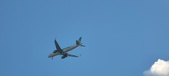 Enlarge photo 138