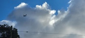Enlarge photo 139