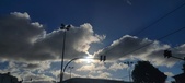 Enlarge photo 141