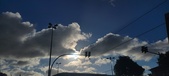 Enlarge photo 142