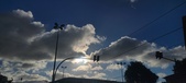 Enlarge photo 144