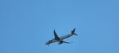 Enlarge photo 145