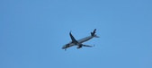 Enlarge photo 146