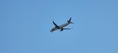 Enlarge photo 147