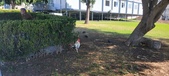 Enlarge photo 153