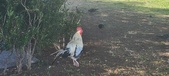 Enlarge photo 154