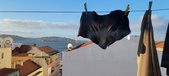 Enlarge photo 205