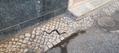 Enlarge photo 244