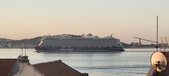Enlarge photo 266