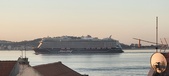 Enlarge photo 267
